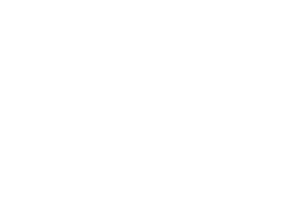 logo weis